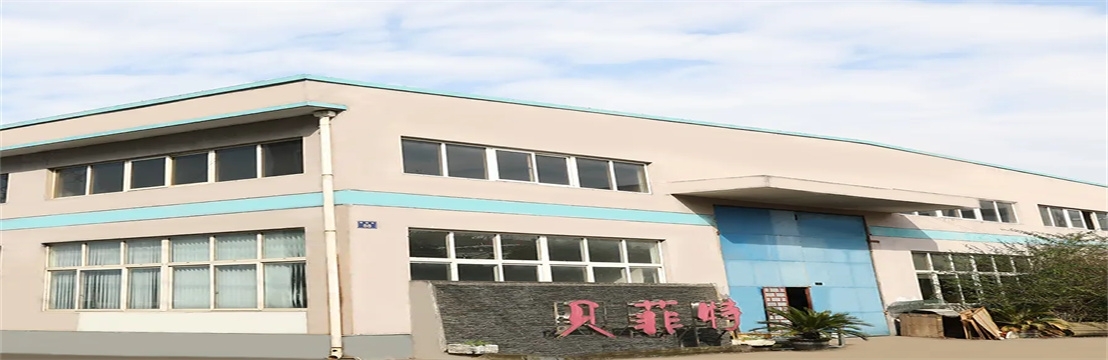 Jiaxing Befeite Chain Wheel Manufacturing Co Ltd