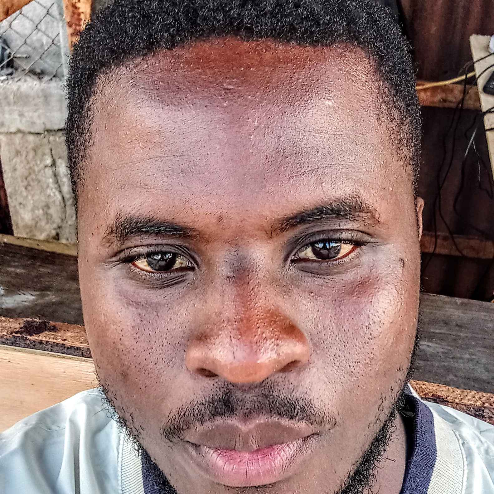 AVELINO ESBOI